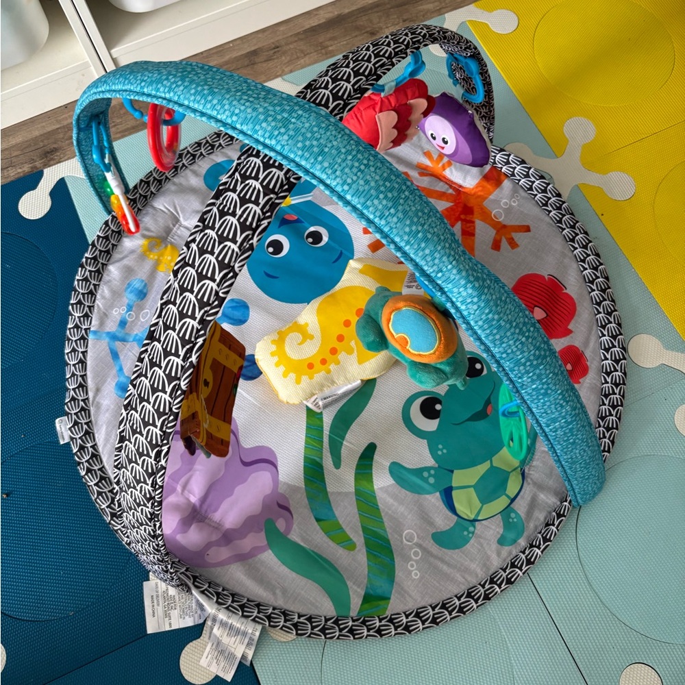 Baby Play Gym